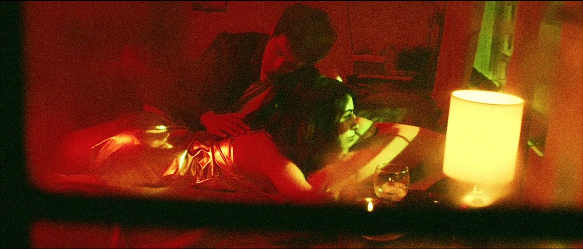 Birdhaus tweet media