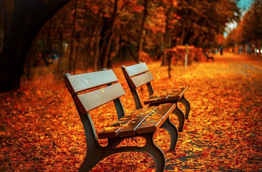 We love London in #Autumn; here are 5 reasons why you should too. bit.ly/2dGbp3J #MondayMotivation <a href="/LDNOktoberFest/">London Oktoberfest</a>