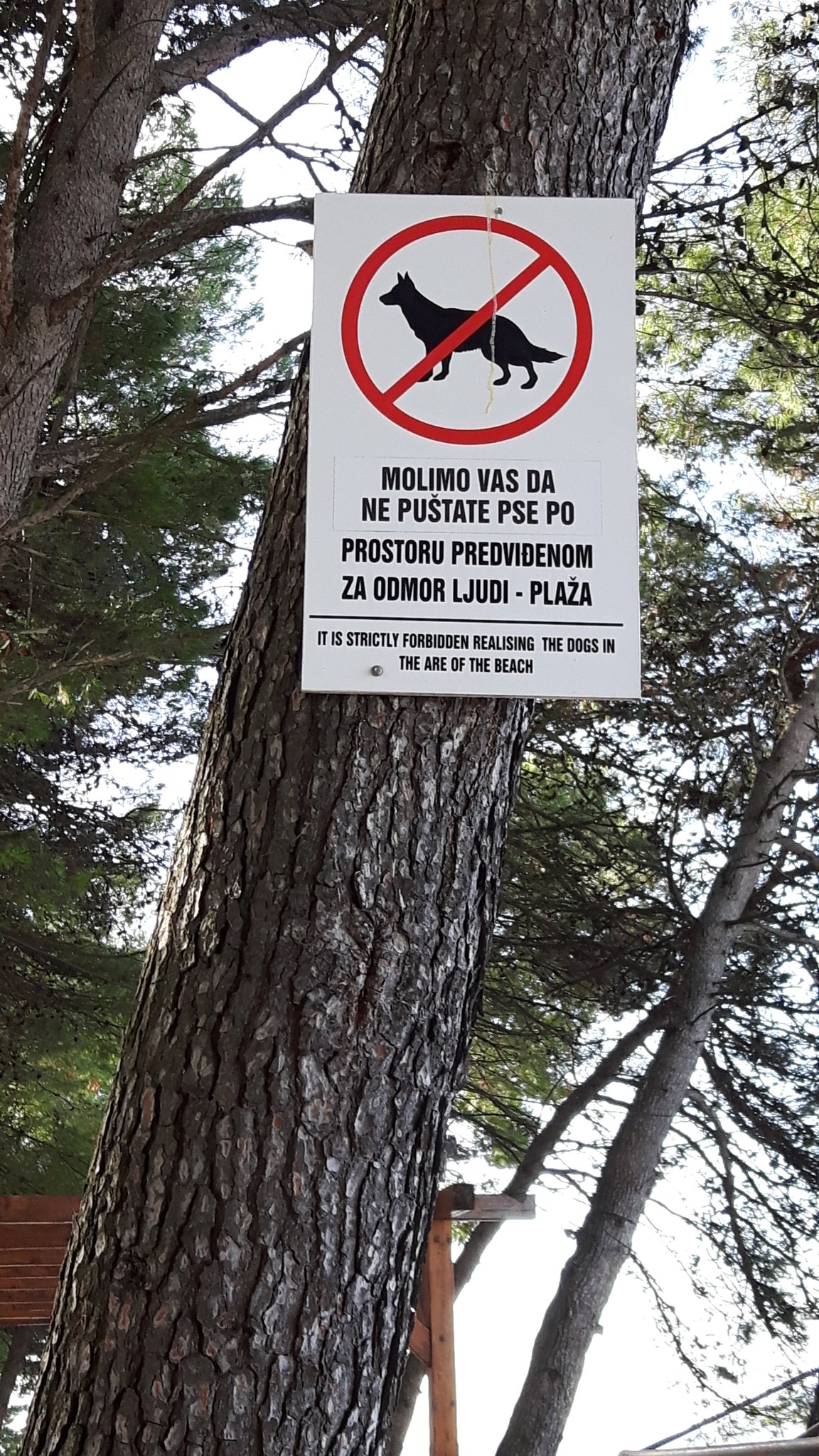 Slika
