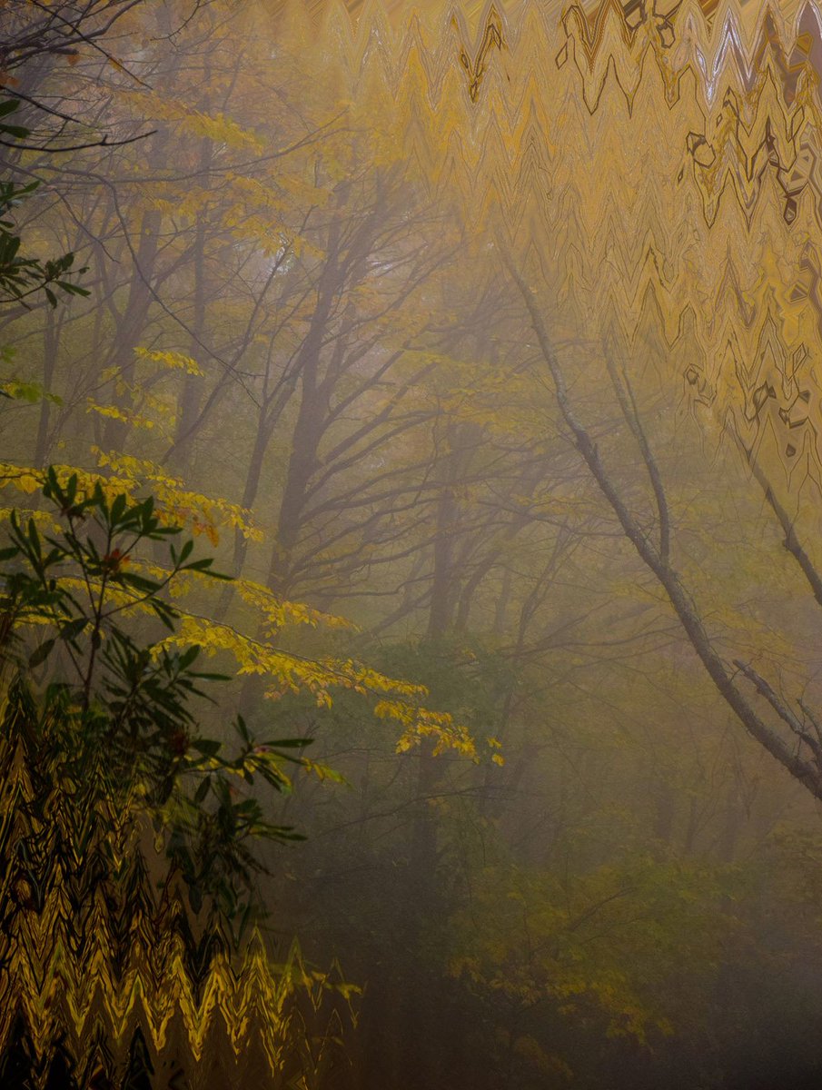 Florets oktobernummer ute nu!
floret.se