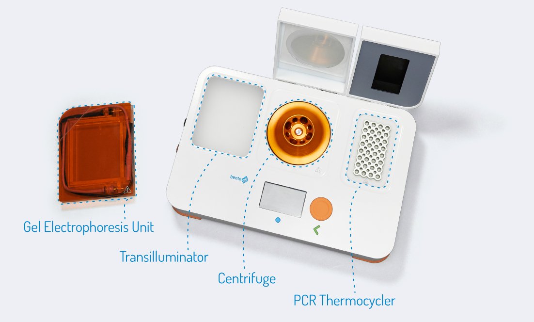 Bento Lab 🧬 tweet media