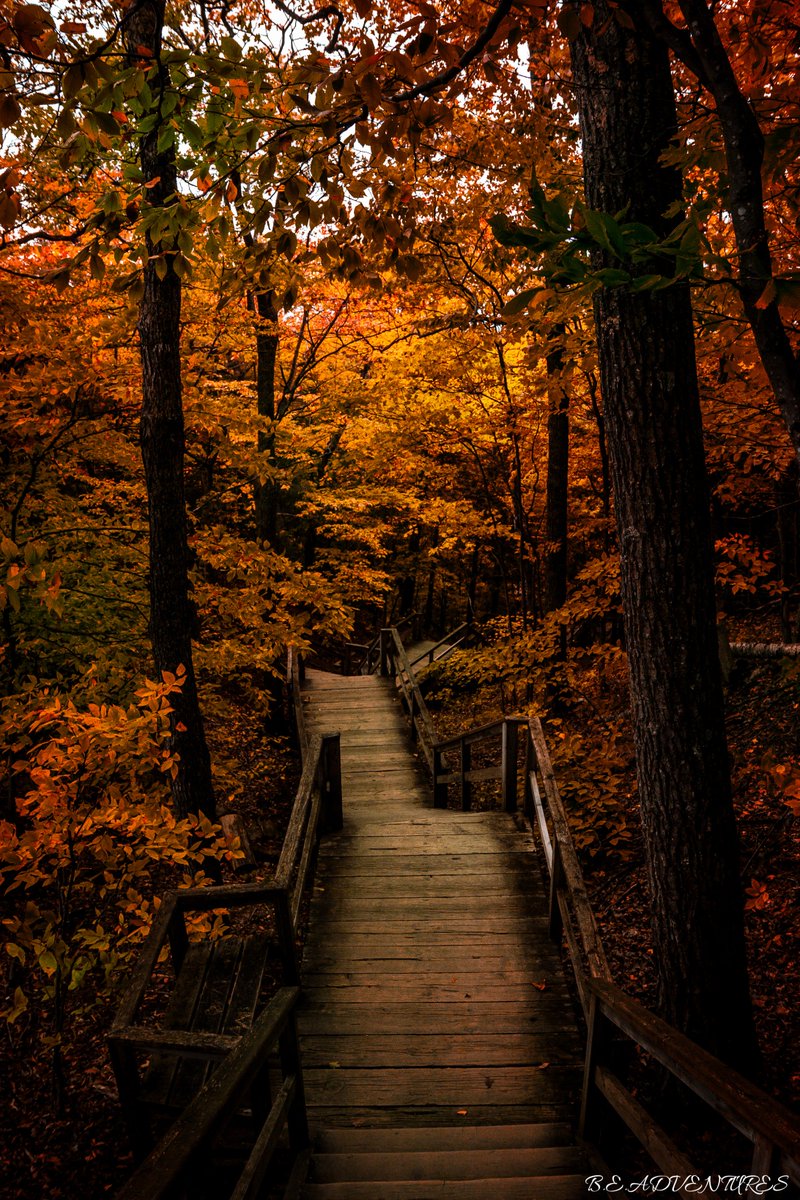 BE_Adventures's tweet photo. Where does this lead to? #foliage #mackinacisland #fall https://t.co/ztOCI58Gfh