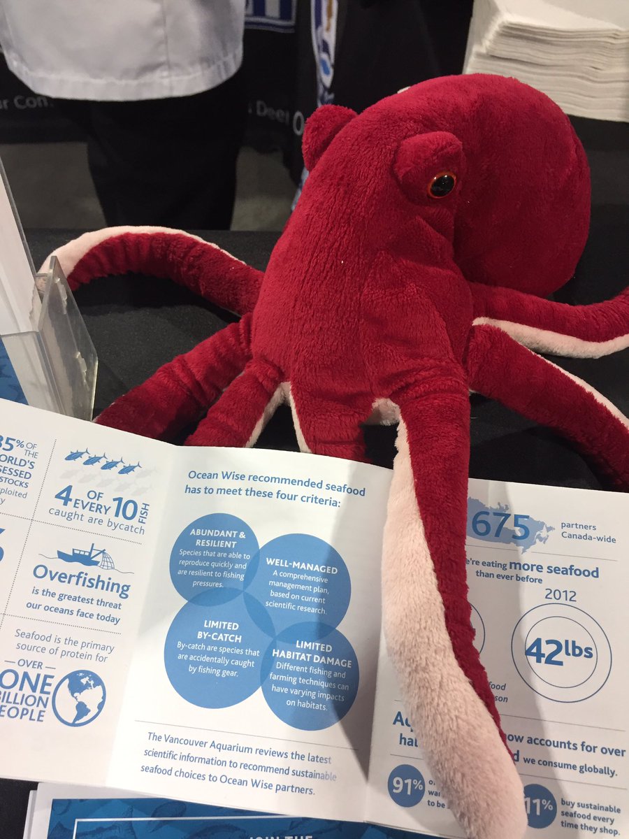 Looking for some #OceanWise shrimp? Come chat with <a href="/oceanmamaseafd/">Ocean Mama Seafood</a> at the #GICShow16 and snack on some samples