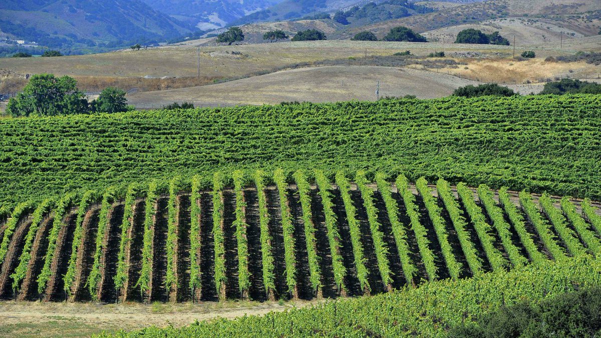 Dry-#farming's obstacles and opportunities, from <a href="/qz/">Quartz</a>: qz.com/802796/an-anci… cc <a href="/famfarms/">CAFF</a> #cadrought