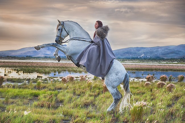 equinephotog's tweet photo. #Elegant #Equine #photoshoot in #Reno #Nevada - Jody L Miller Photography https://t.co/0XfKfWSkMh #highflyingdisc #lawofattraction https://t.co/yYFekJk4ZK