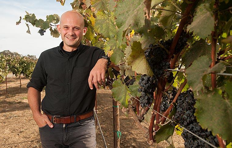 ucdavis's tweet photo. #Genomics breakthrough paves way for #climate-tolerant #wine #grape varieties 🌡🍇🍷 #UCDavis  https://t.co/Dj8xTPo7n7 https://t.co/8lr77VQVI9