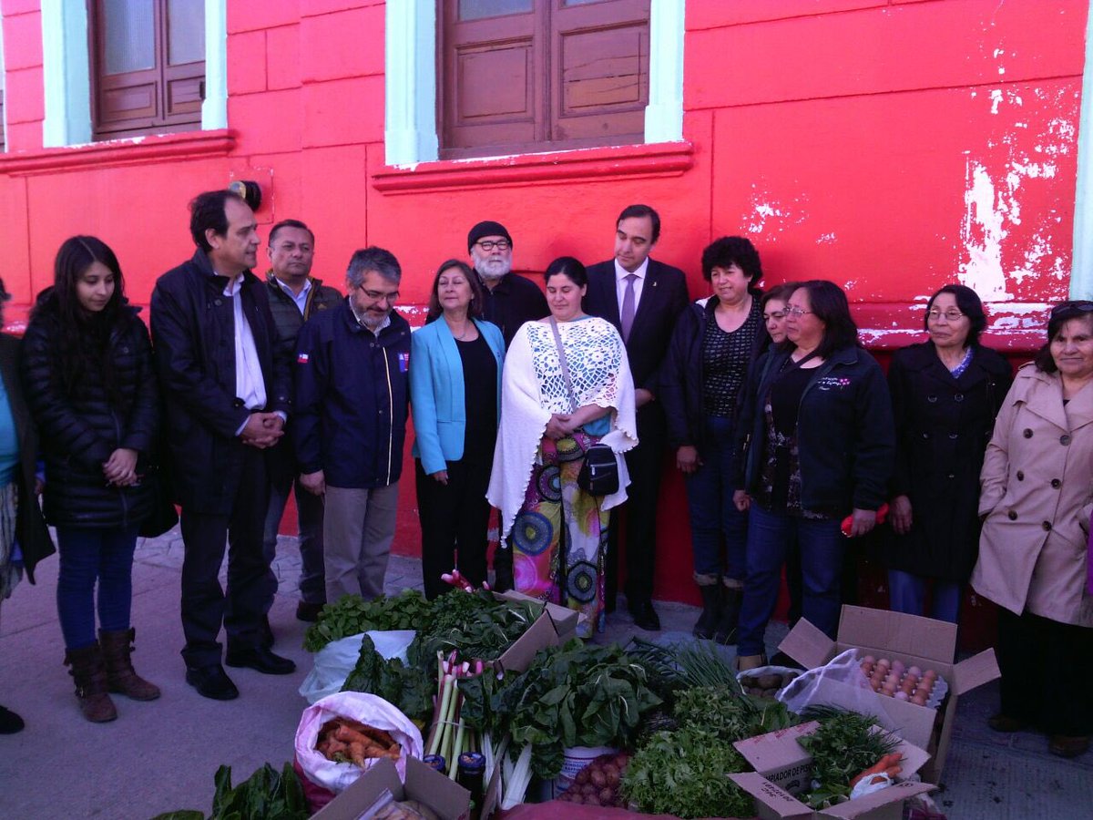 INDAP_Chile's tweet photo. Pequeños productores #Indap donaron primera cosecha de la temporada al Hogar de Cristo #PUQ #Magallanes https://t.co/bhpczK9CTE