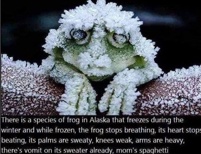 billyinohio's tweet image. damn this is crazy