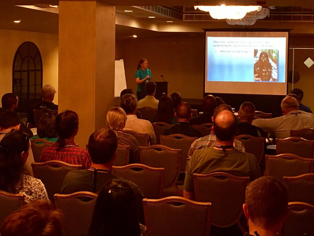 cmbobirds's tweet photo. Trish Miller drops science on mitigating bird strikes with aircrafts. #FutureIsNow @CellTrackTech @NJAudubon #RRF2016 https://t.co/4XsPjEMJm4