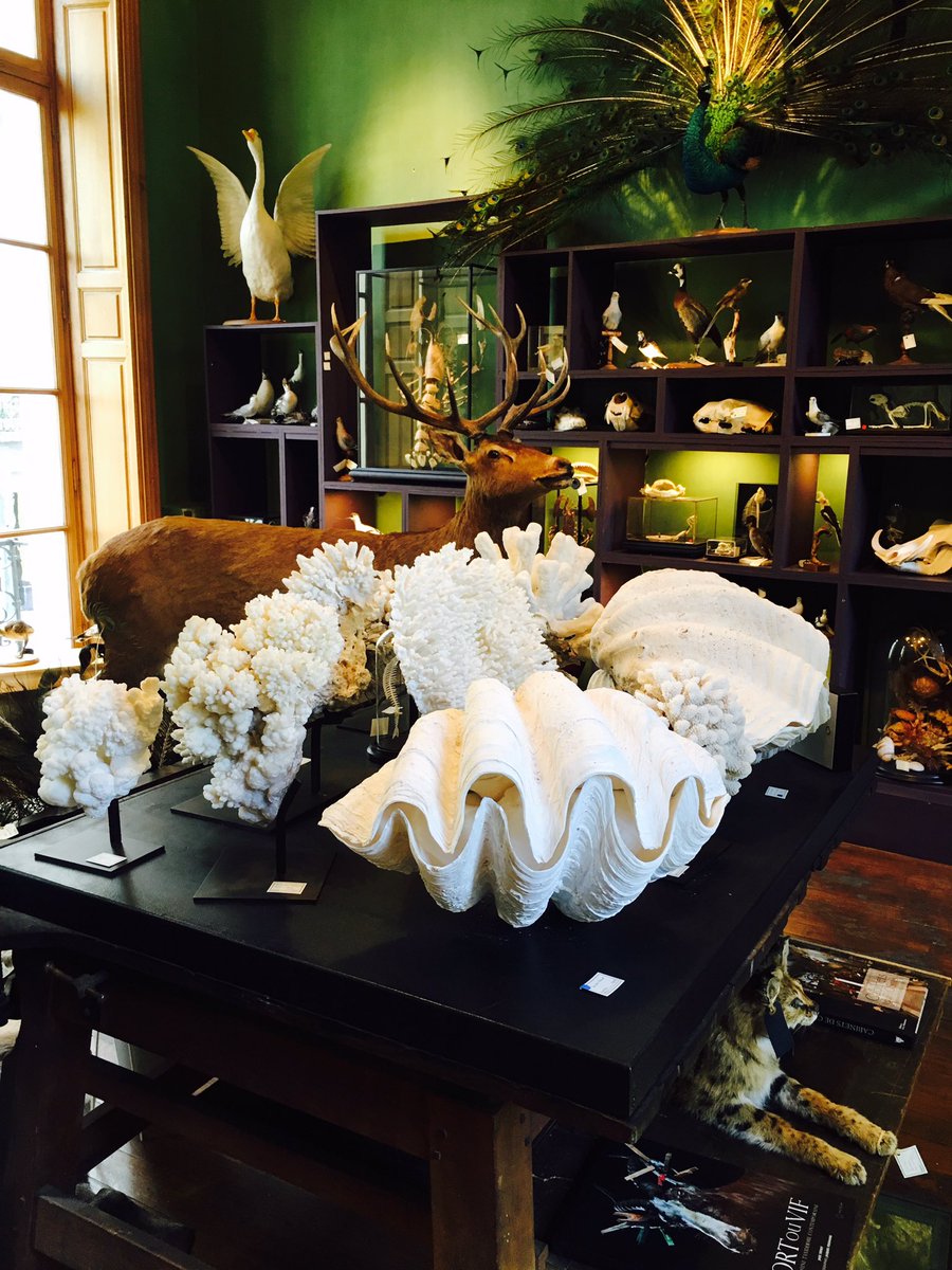 Fiona Symington tweet media