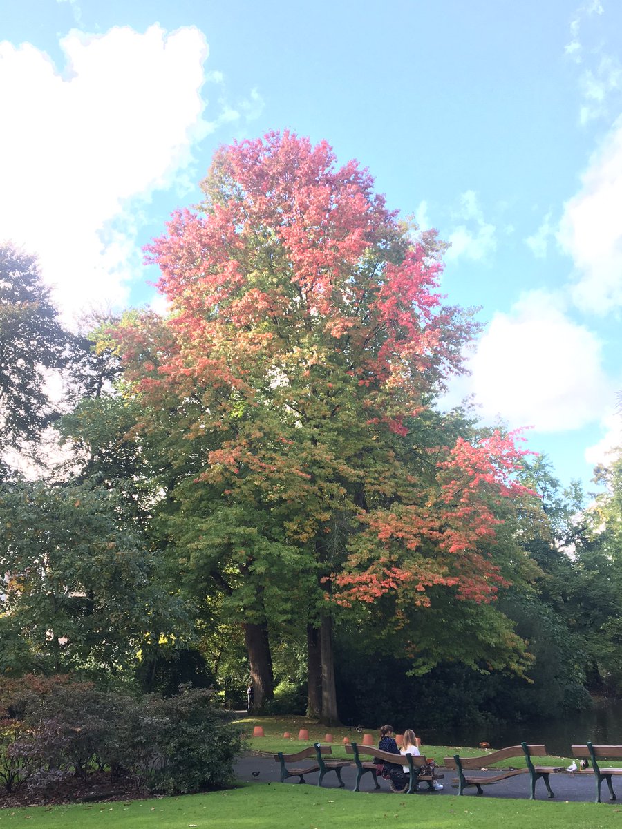 NiyeAG's tweet photo. Loving Autumn https://t.co/xi61z2uQNa