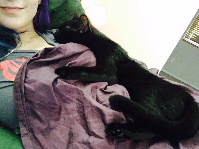 Guardian cat Archimedes https://t.co/dZnwcC2t8K<a href="/tag/bondage"class="tags"><span>#bondage</span></a><a href="/tag/goddesslife"class="tags"><span>#goddesslife</span></a>