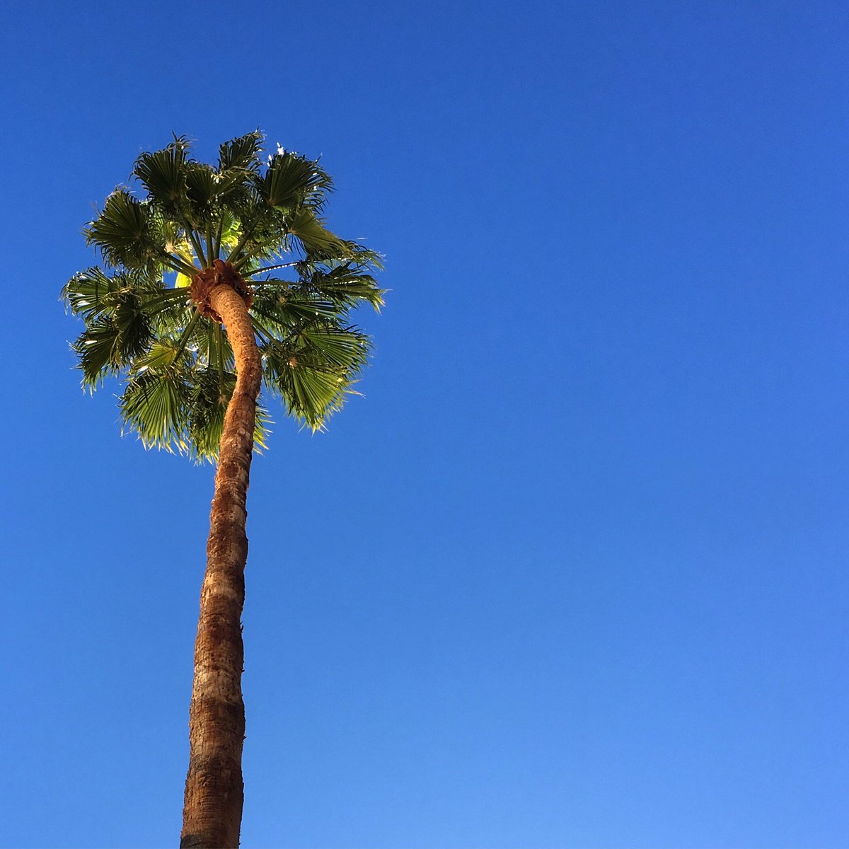 kellyknaga's tweet photo. Grabbing a quick dose vitamin D before the next session of #emergingdesigners at the #aigadesignconference https://t.co/o7t0OTuTJt