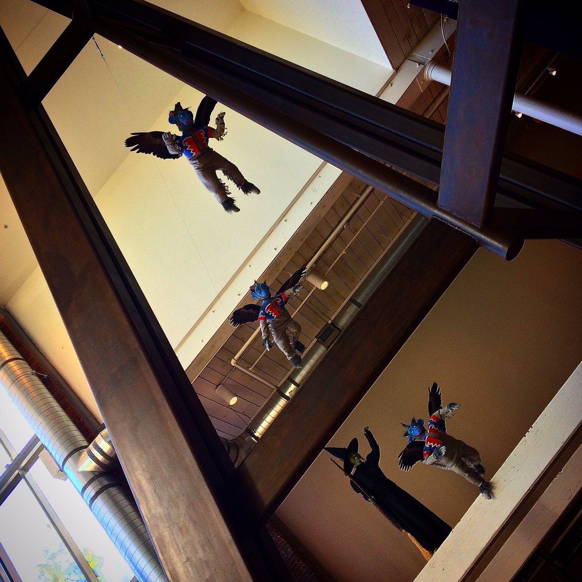 SCStateMuseum's tweet image. Fly! Fly! Fly! #MuseumofOz