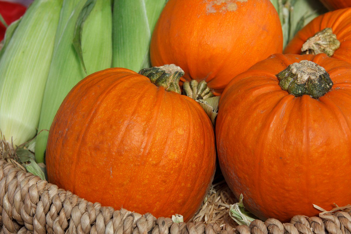 Pumpkin is a great source of vitamin A and fiber! Add to baked goods for filling, delicious treats.