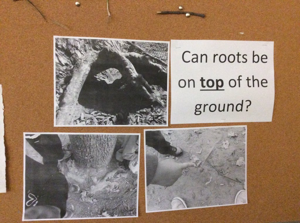 Alice Te tweet media