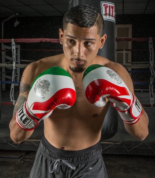 titleboxing's tweet photo. Out with the old and in with the new. Check out the latest from TITLE. New gloves, Legacy tees, gear bags and more: https://t.co/e7Ip1yu5bn https://t.co/kET8l5aHlc