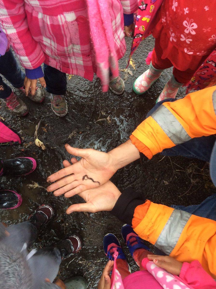 Alice Te tweet media