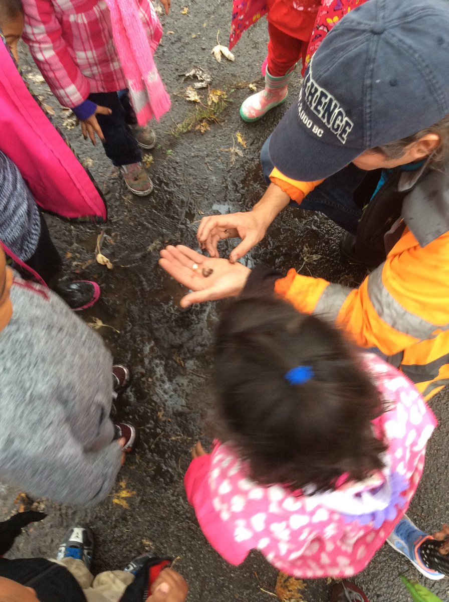 Alice Te tweet media