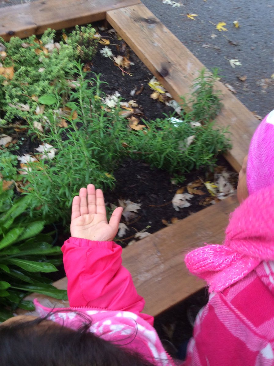 Alice Te tweet media