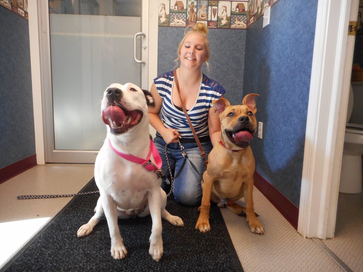 lpcoac's tweet photo. Today is the day we have all been waiting for! Daisy got picked and she has a brand new family! We are all so happy for her! https://t.co/OD12fTVglP