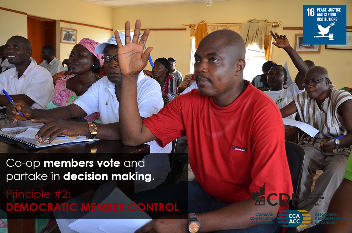 CDFCanada's tweet photo. #CoopWeek Day 2 &amp; Principle 2: @CCA_Intl provides good governance training to #coops. #SDG16 #CUs #SierraLeone https://t.co/5SKjdb6Zf2 https://t.co/HRLFguD6xH