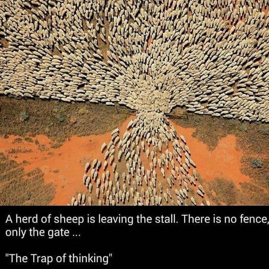 Sometimes the thing holding you back is all in your head...