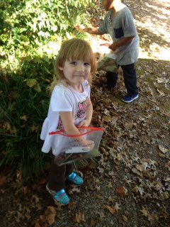 AprilyJPPe's tweet photo. Great first day back. Fall is in full swing in Prek. We had a blast on our leaf hunt. #collect #sort #explore #Nature #jpprek https://t.co/6Luy6HxUNu