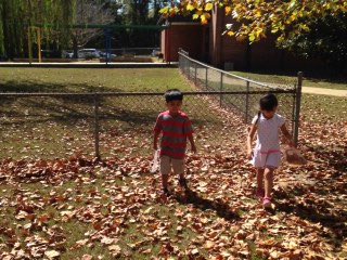AprilyJPPe's tweet photo. Great first day back. Fall is in full swing in Prek. We had a blast on our leaf hunt. #collect #sort #explore #Nature #jpprek https://t.co/6Luy6HxUNu
