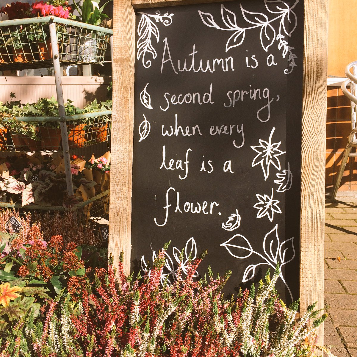Wow #autumn you are even better than I remember!