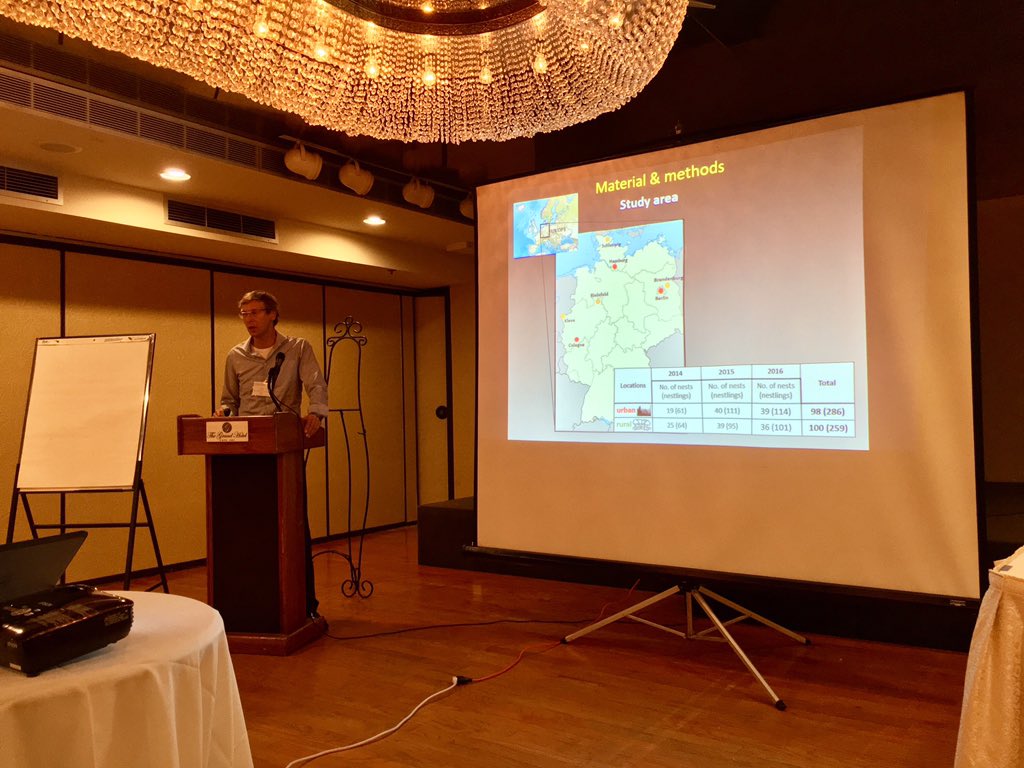 cmbobirds's tweet photo. Oliver Krone, urbanization of Northern Goshawk in Germany #RRF2016 @NJAudubon https://t.co/3jCol26Tss
