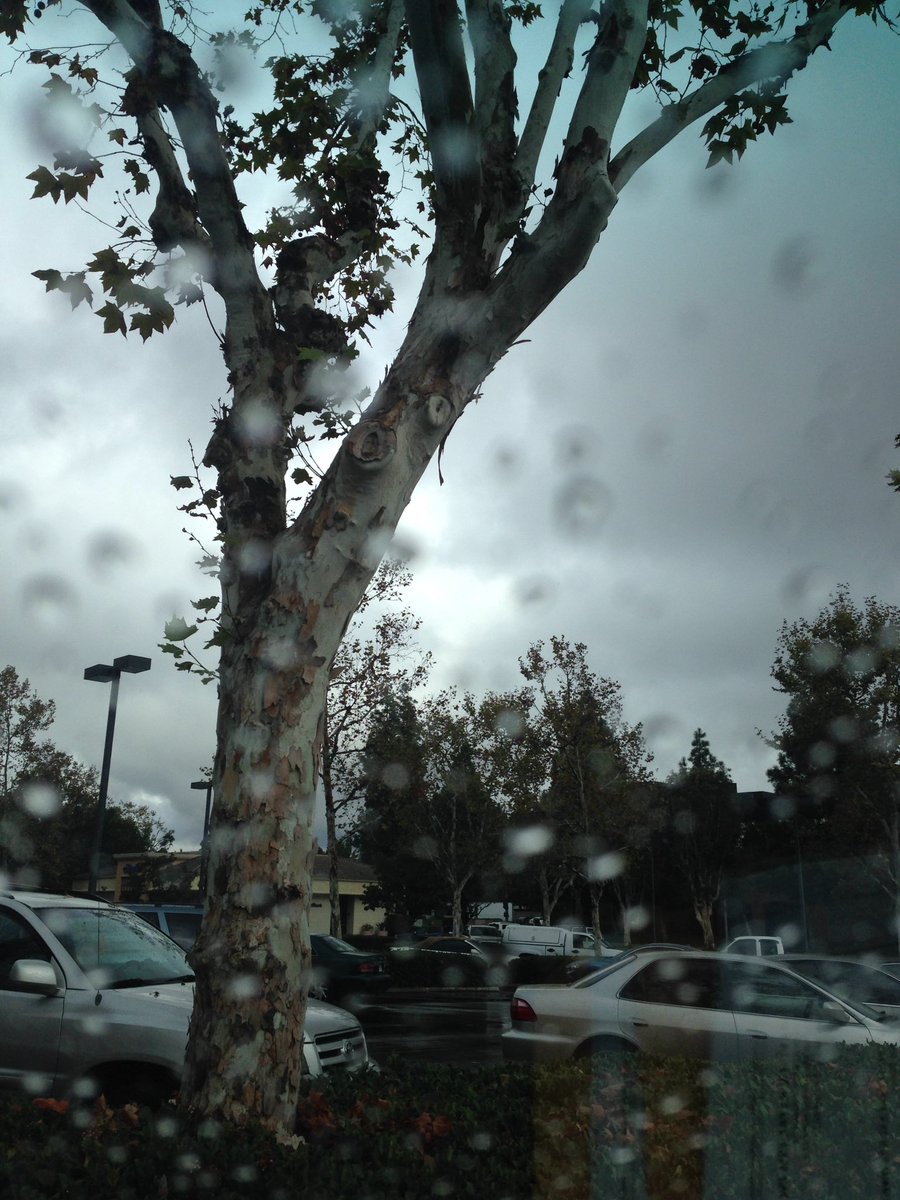 PawnShopkings's tweet photo. Rainy SoCal and @Neilyoung Harvest Moon. #solidcombo https://t.co/J24izYpyxK