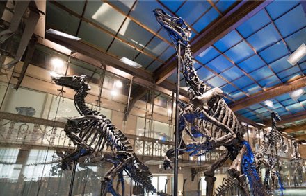 mklatam's tweet photo. #PreviouslyOnEarth @google a través de @googlearts trae a la vida los dinosaurios https://t.co/dNQUnlluMI #VR https://t.co/VOVOidBCLM