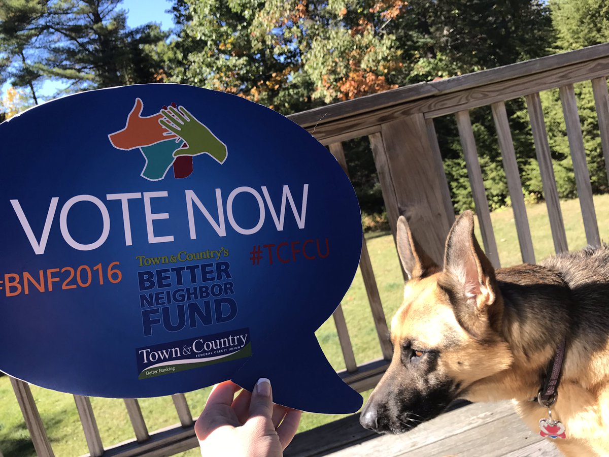 JAofMaine's tweet photo. Rigby has an important announcement! Vote for JA in @TownCountryFCU's Better Neighbor Fund: https://t.co/3abw9Xxf2h #BNF2016 https://t.co/XjUC4BJjjI