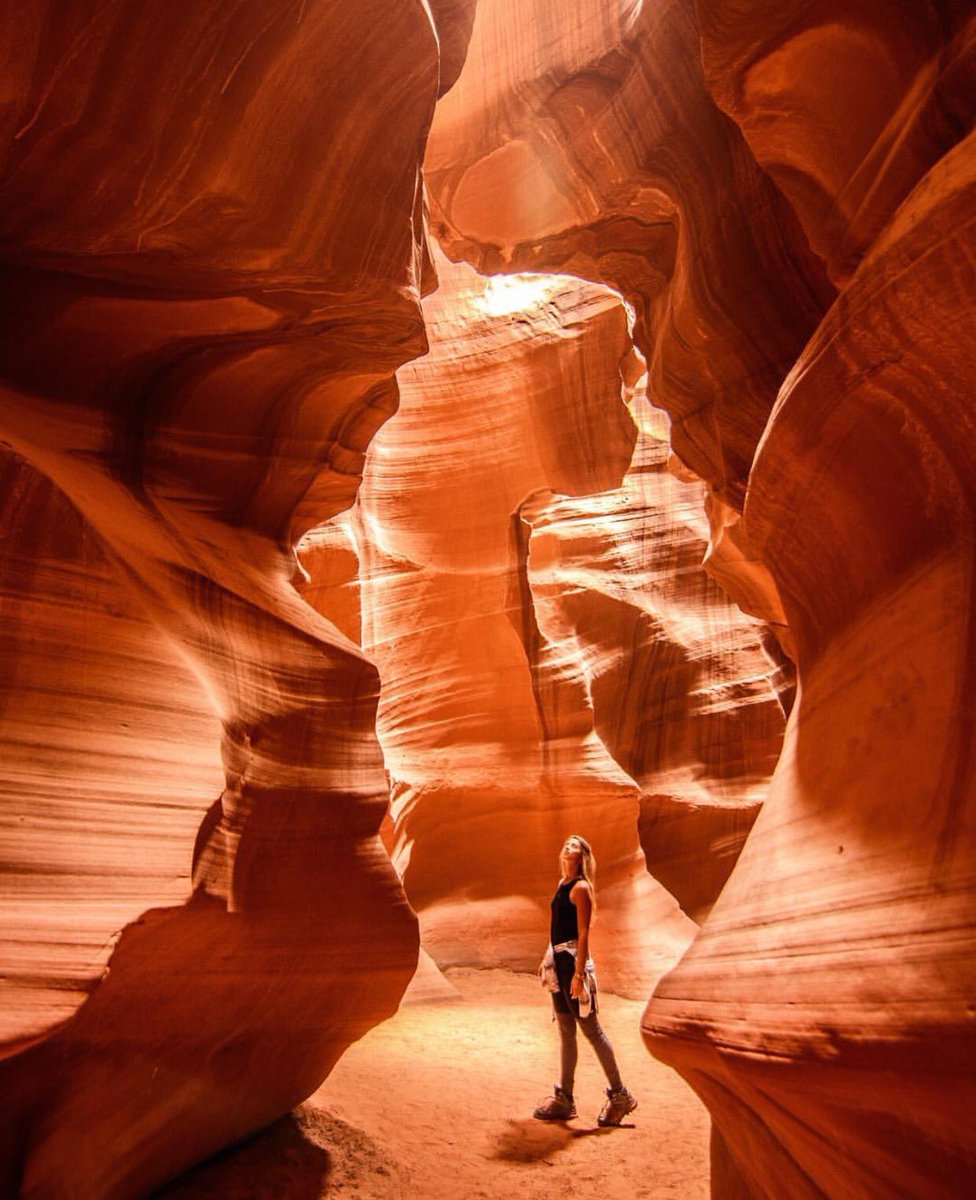 Tripstir app tweet media