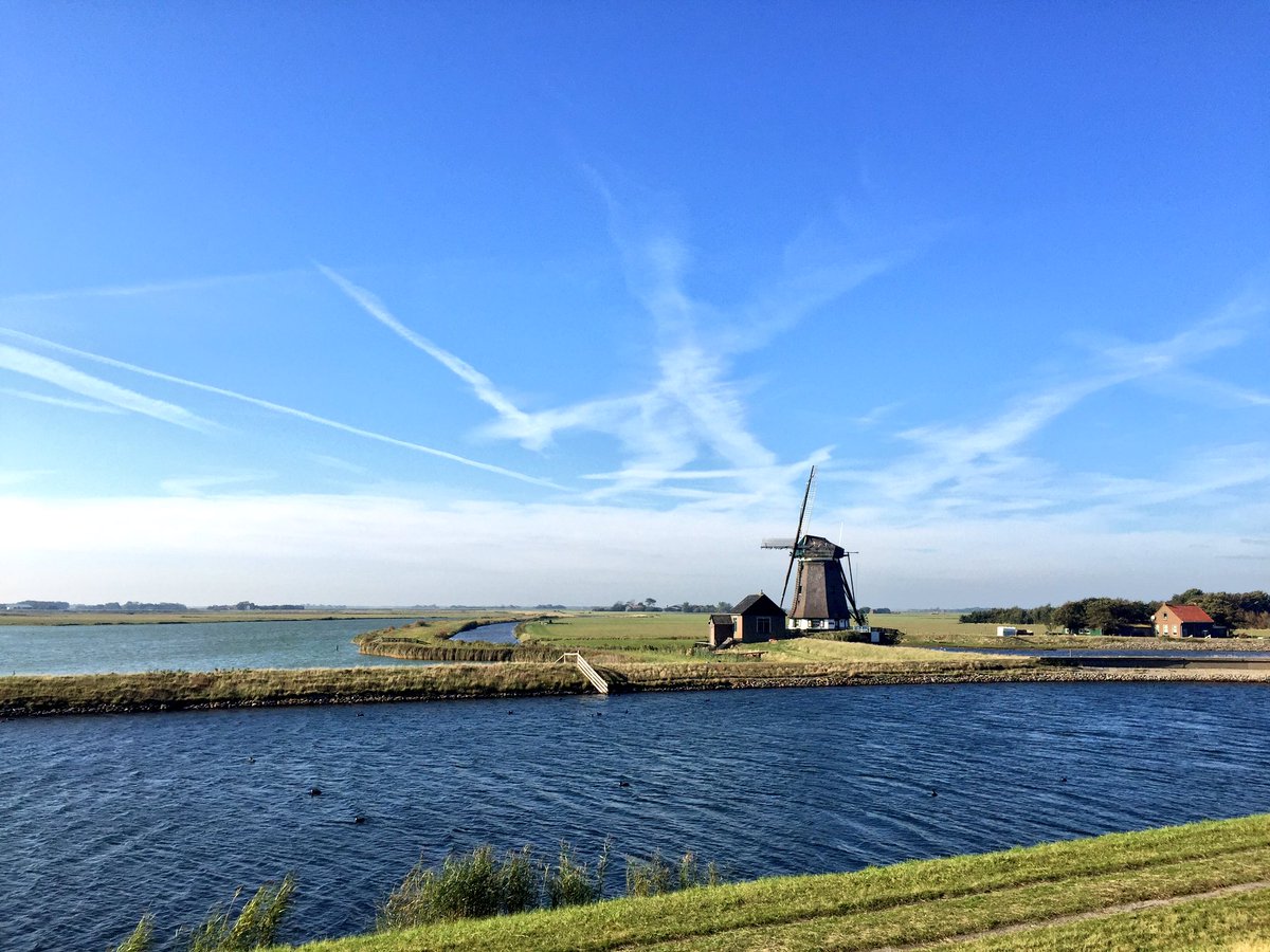 Geflügelter Geselle auf #Texel