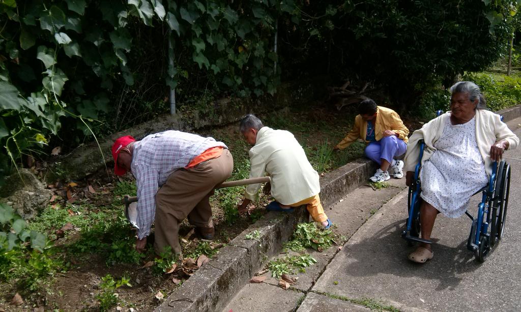 GerogranjaBocon's tweet photo. Activado  con aporque y riego a los cultivos #SembrandoVida #AgriculturaUrbana @Inass_GeroAldea https://t.co/DTLQMGcCSG