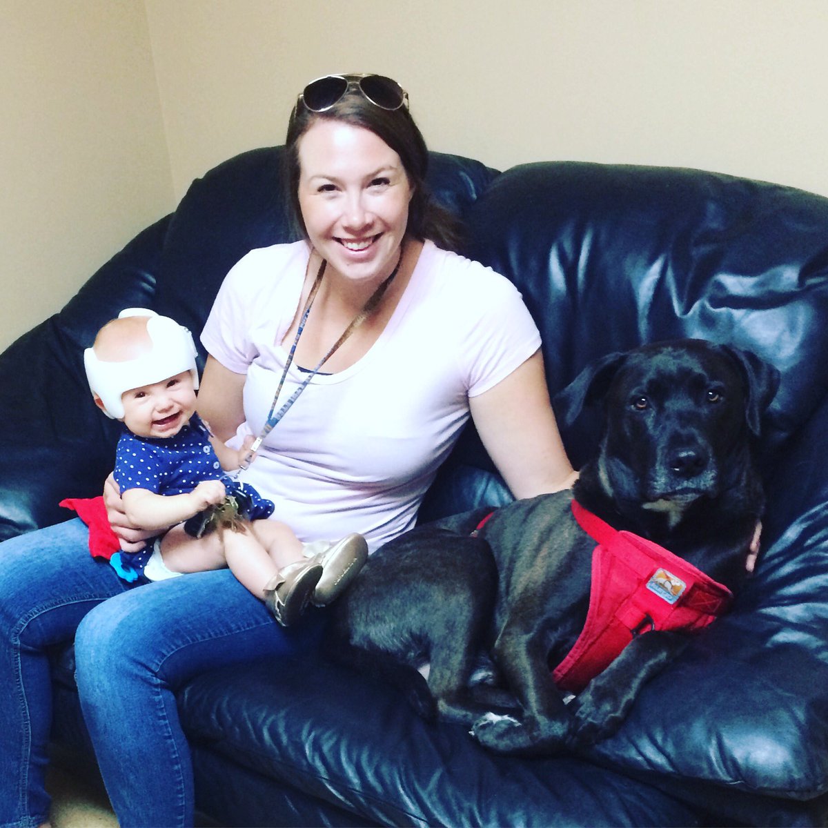 Kati_Kleber's tweet photo. First thing on the agenda since getting home from #NNBA2016 this am - last min family trip to the vet for Mac! He's not excited about it. https://t.co/3r0LaaM36g