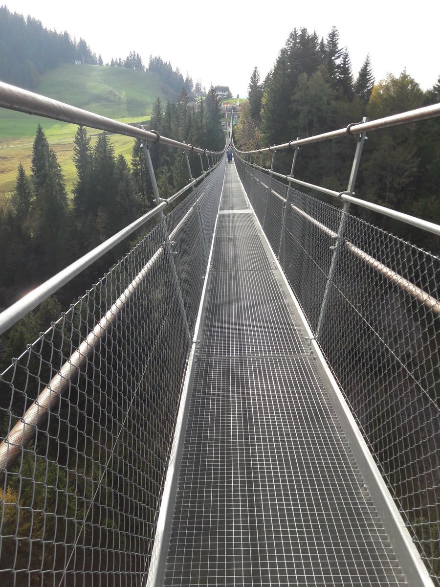 DuncanBowers's tweet photo. Took the world's first revolving gondola to this ludicrous 350m long swinging footbridge over a ravine.. #Settal https://t.co/sgkOrxzjJL