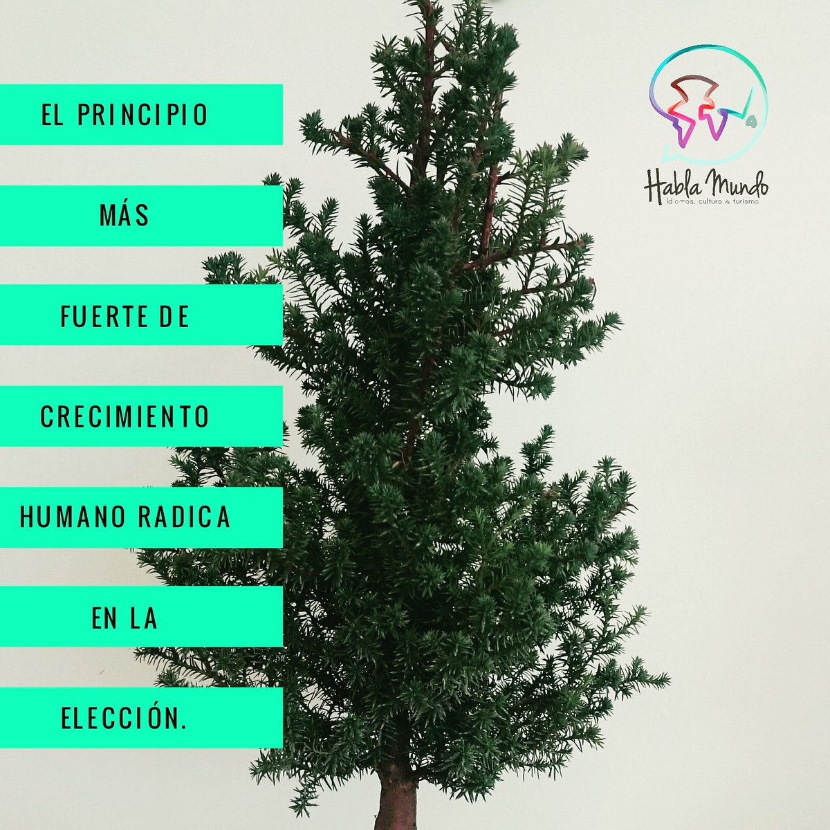 Habla_Mundo's tweet photo. Feliz inicio de semana #Monday #success #starter #Nature #spanish #HablaMundo #learning #Life https://t.co/BSigXCzw10