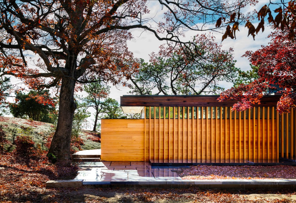 Gray Organschi tweet media