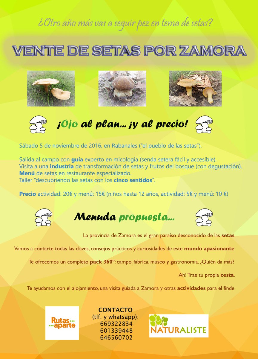 iteurope2's tweet photo. Te ponemos al día en materia de setas. El 5 de noviembre os esperamos en Rabanales (Zamora): ruta, gastronomía, fábrica y museo de setas. https://t.co/DJvEWE8WfV