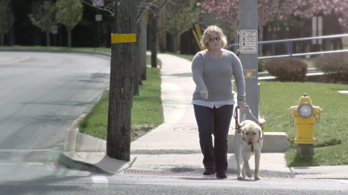Pedigree salutes guide dogs with an evocative, emotional ad about blindness: adweek.it/2ejyBbQ