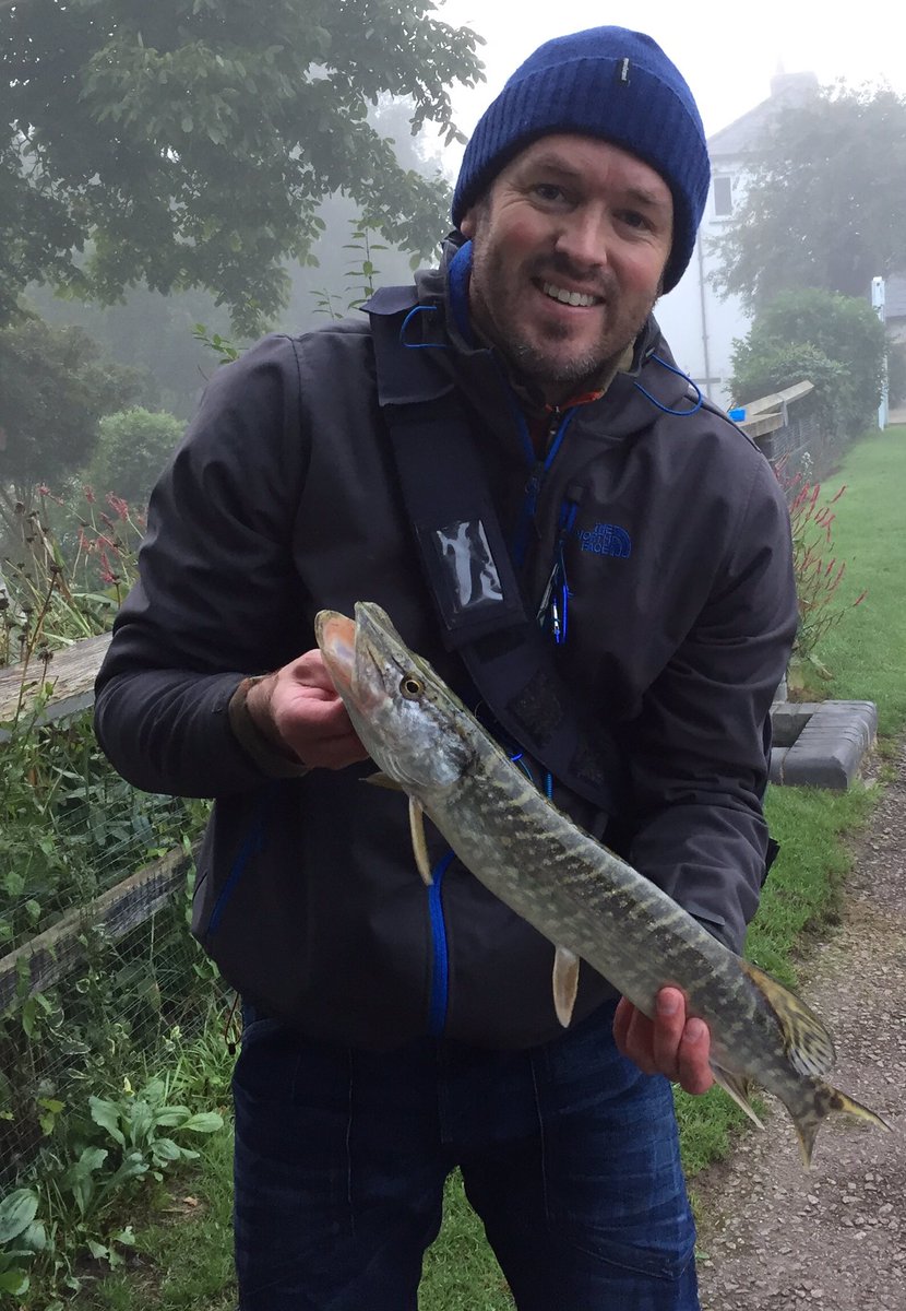 Knackered, but still went fishing. Had a few of these and a couple of Perch and chub out of the Grand Union canal.