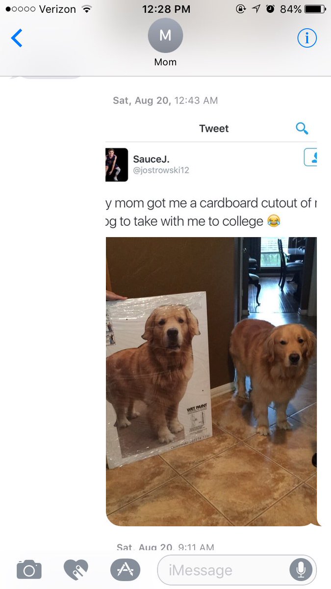 katiedolf's tweet photo. i really need to stop sending my mom things i find on twitter as a joke. she will be take it seriously https://t.co/jXXzu4PEui
