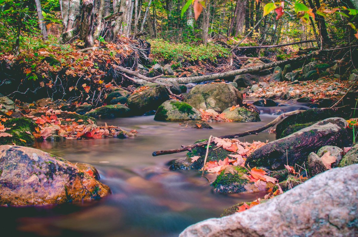 BattleTested84's tweet image. Brewers Brook- Killington, Vermont.  Photo by- Me @tmafeed #takemoreadventures #fall #nikon #longexposure