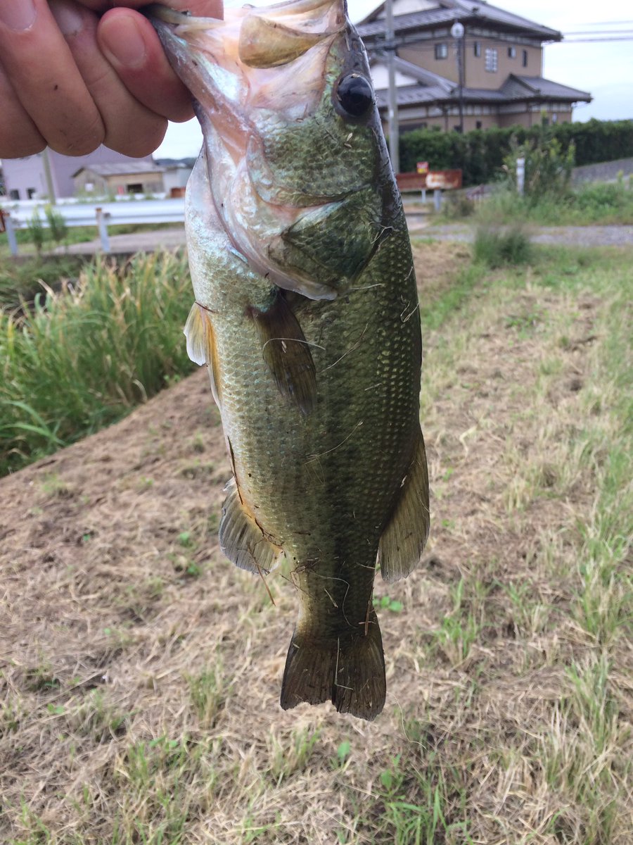 たけ (@tale10620725) on Twitter photo 