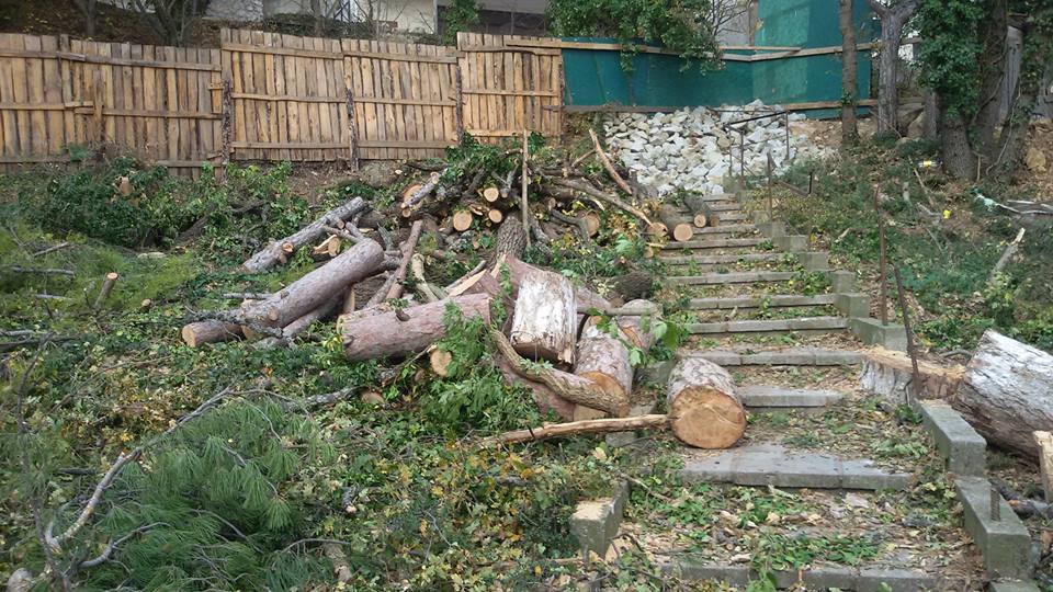 Украина направила в МИД Польши ноту протеста в связи с осквернением польскими националистами памятника воинам УПА, - Дещица - Цензор.НЕТ 2688