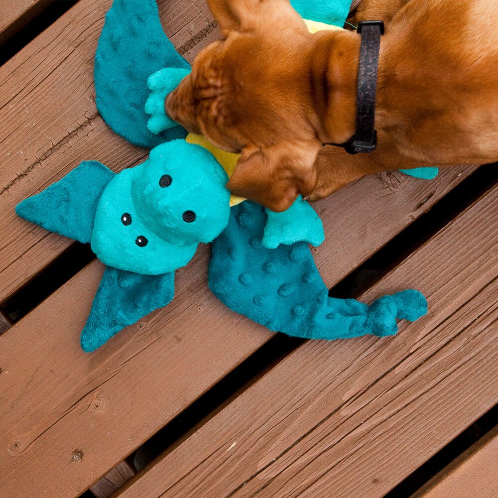 Good Dogs & Co. tweet media
