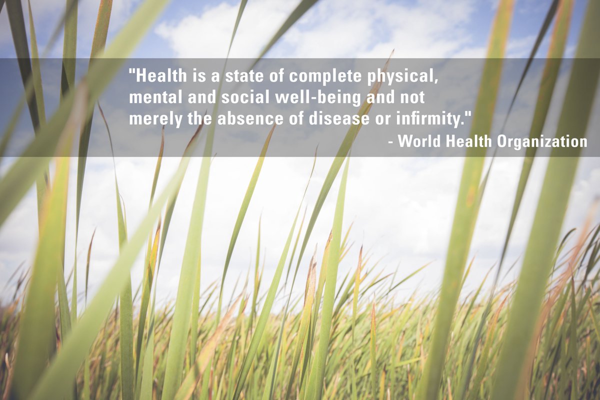 Today is World Mental Health Day. Are you aware of the numerous services available on campus to help you? bit.ly/2dyWeOV #WMHDay